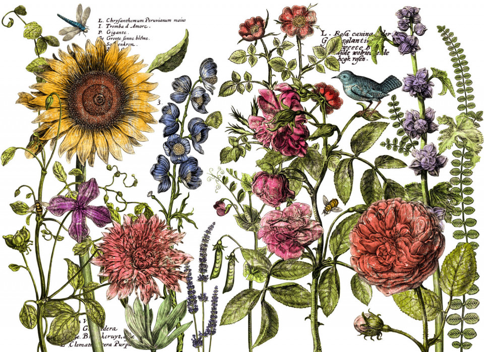 Cochet-Home-Decor-IOD-Botanist