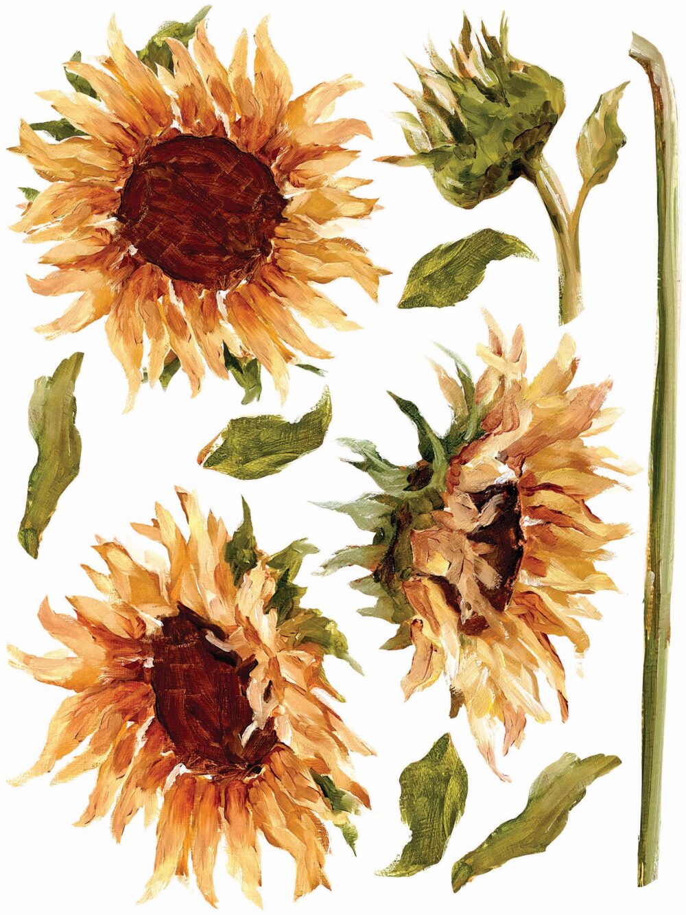 PAINTERLY FLORALS transfer decorativ – set de 8 pagini A3 - imagine 3