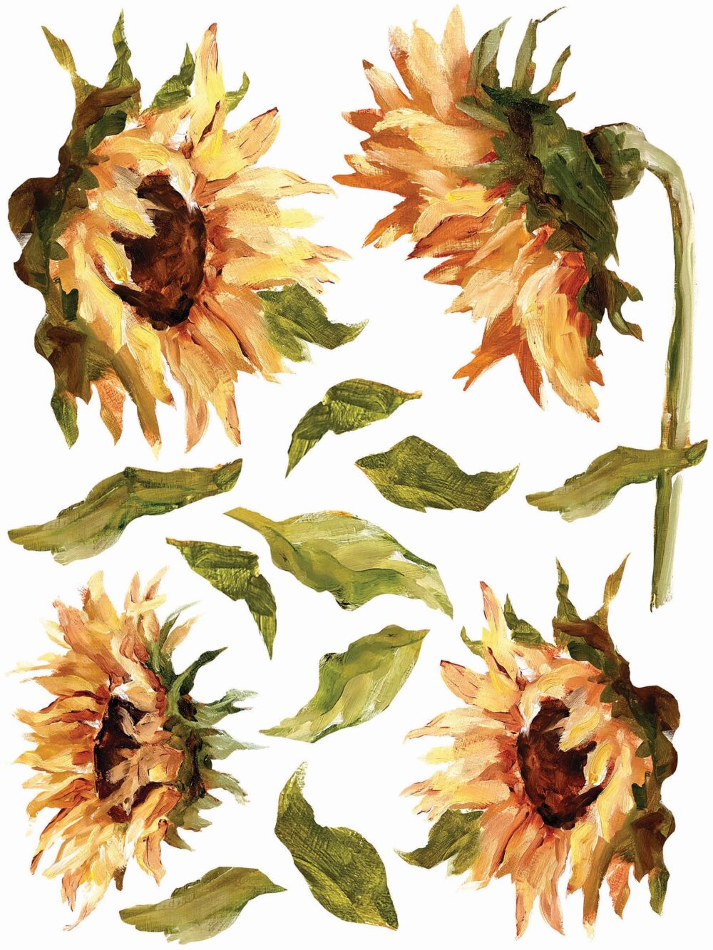 PAINTERLY FLORALS transfer decorativ – set de 8 pagini A3 - imagine 2