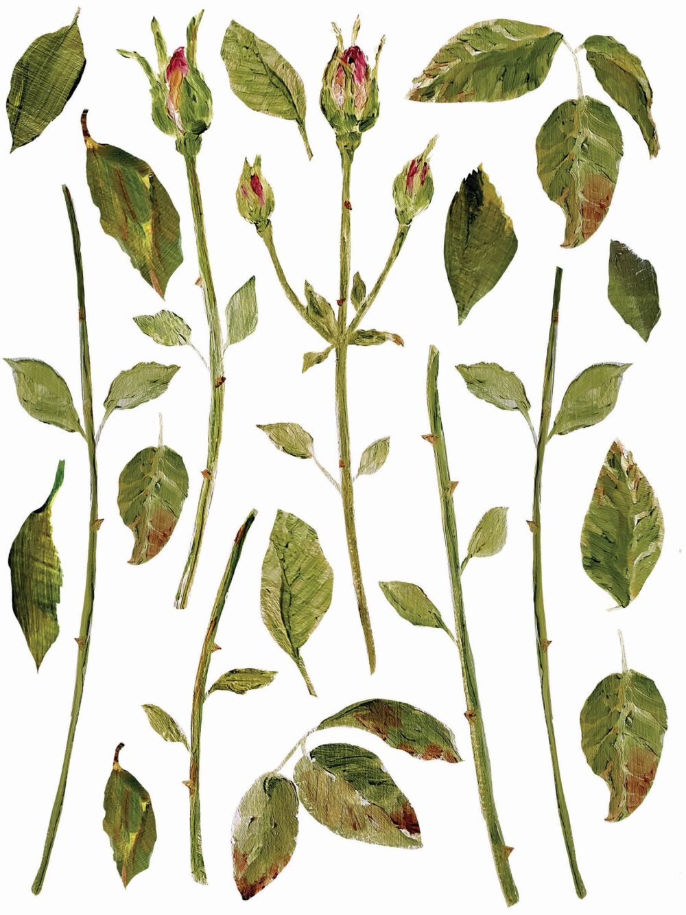 PAINTERLY FLORALS transfer decorativ – set de 8 pagini A3 - imagine 9