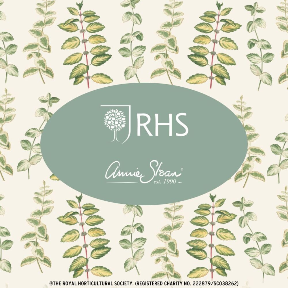Annie Sloan hârtii de decoupage MINT - NOU - imagine 5