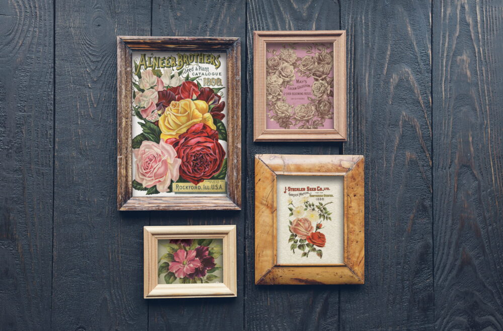 SEED – transfer decorativ – set de 8 pagini A4 - imagine 13