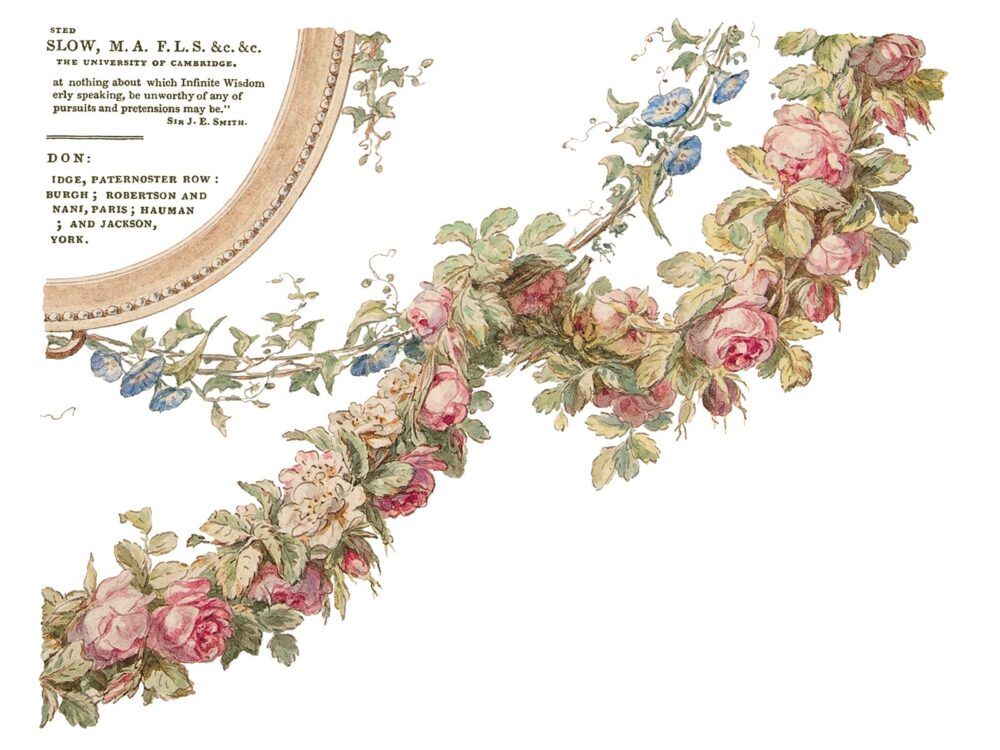 THE BOTANIST – transfer decorativ – set de 4 pagini A3 - imagine 7