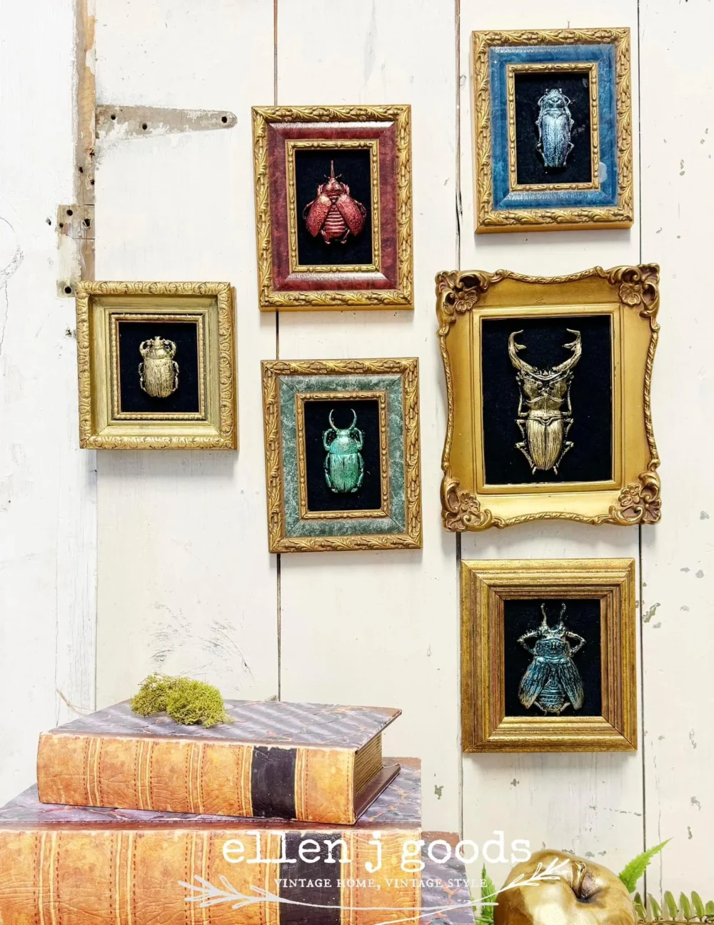 mulaj decorativ iod specimens