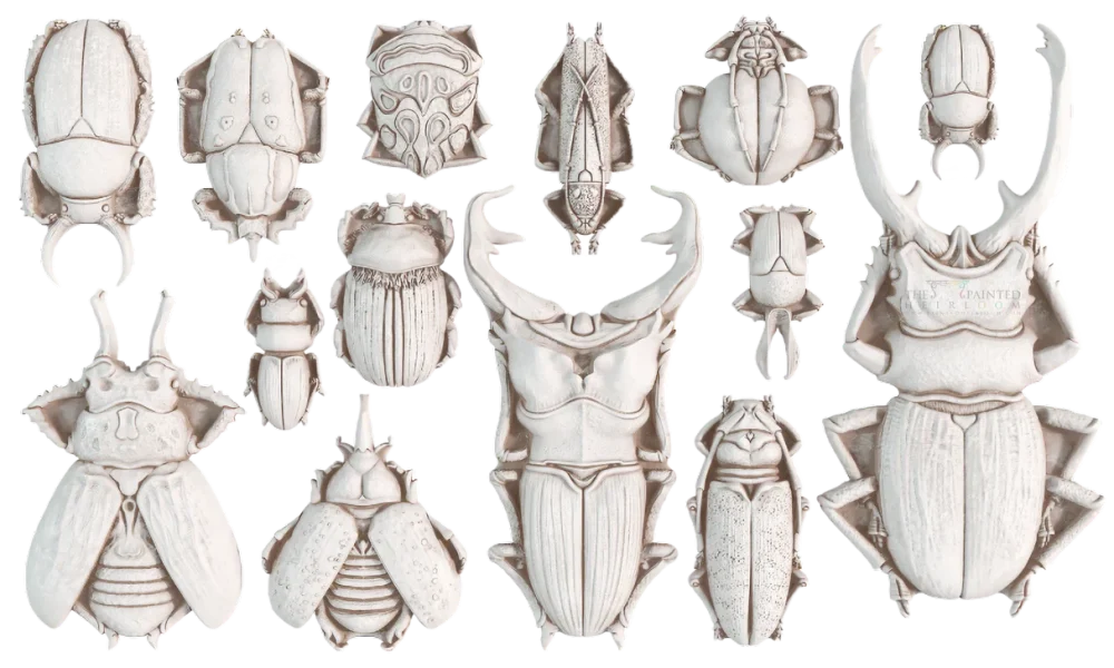 mulaj decorativ iod specimens