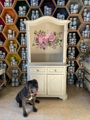 mobila vopsita cu Annie Sloan satin Paint canvas si decorat cu transfer decorativ redesign