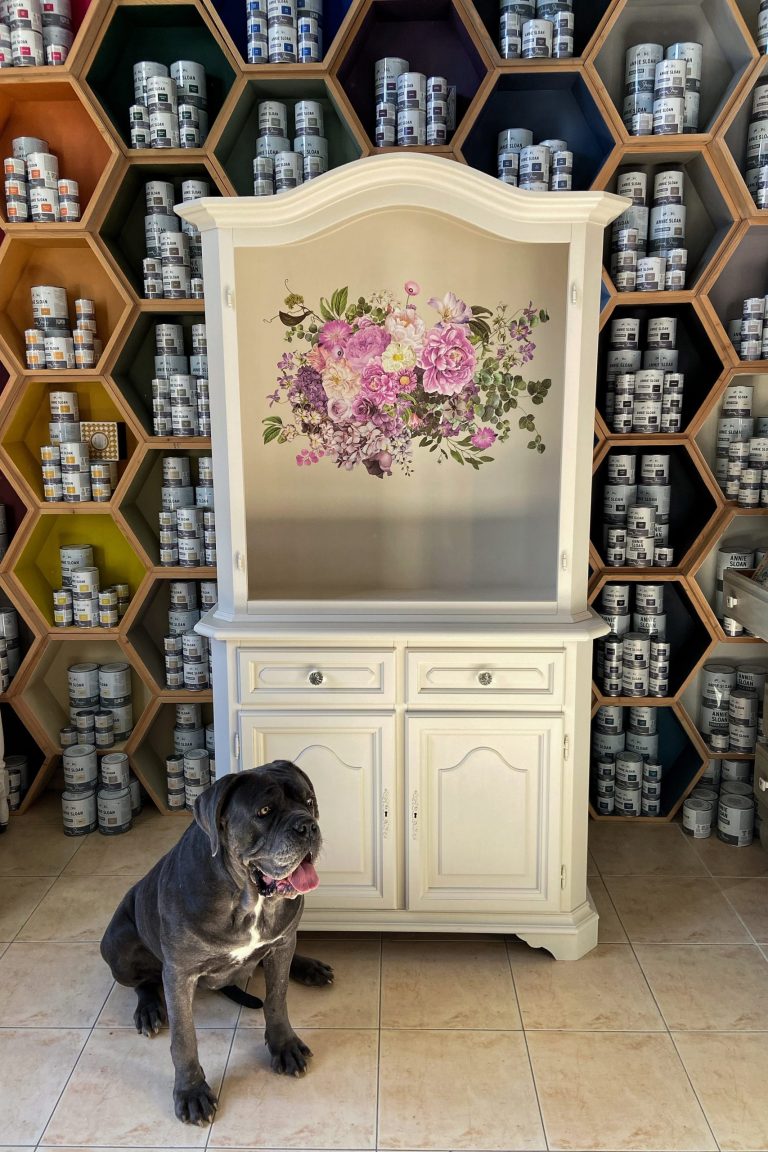 mobila vopsita cu Annie Sloan satin Paint canvas si decorat cu transfer decorativ redesign