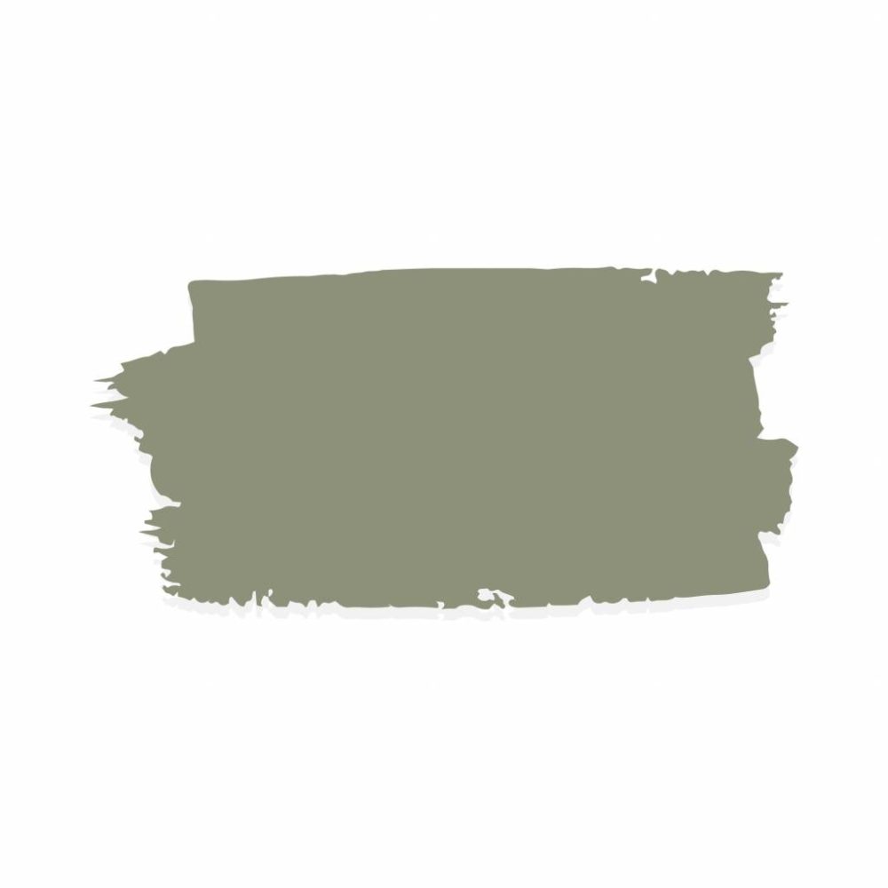 fusion mineral paint lichen