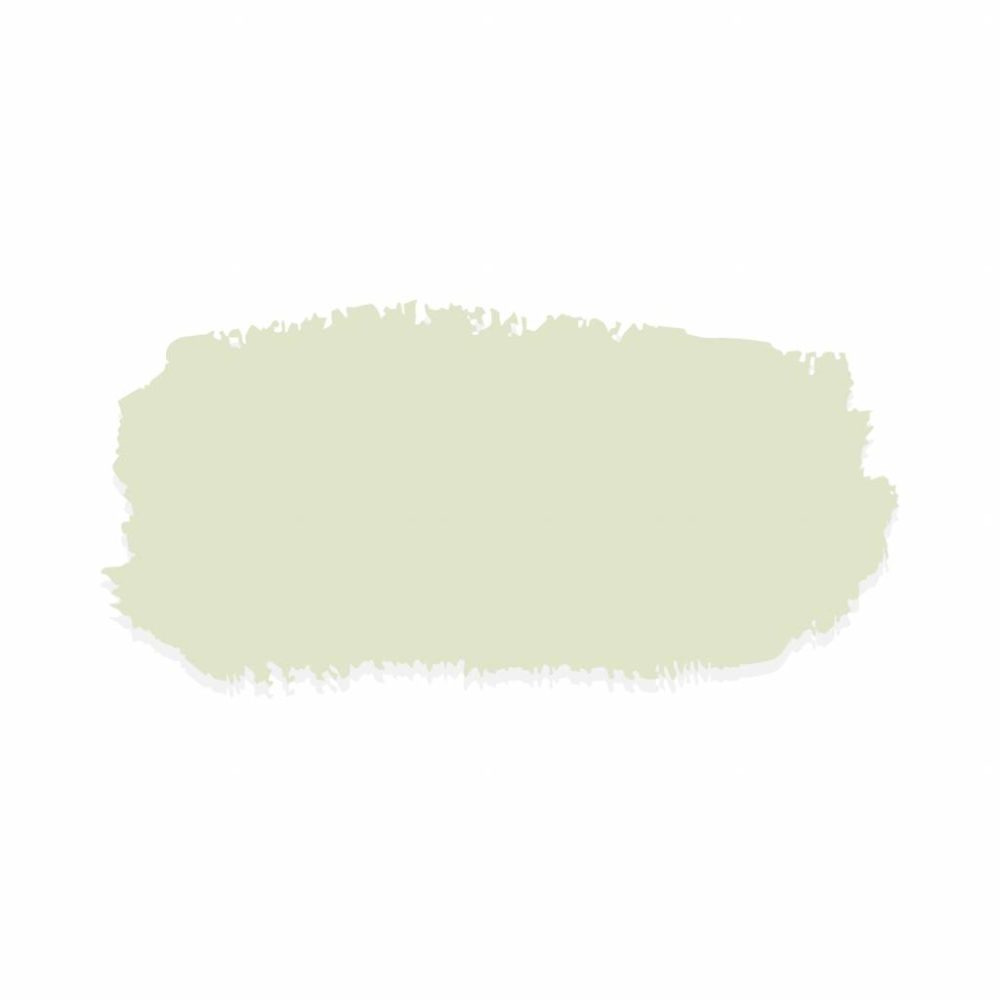 Fusion Mineral Paint - Little Speckled Frog