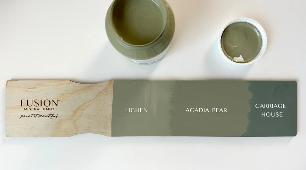 fusion mineral paint lichen