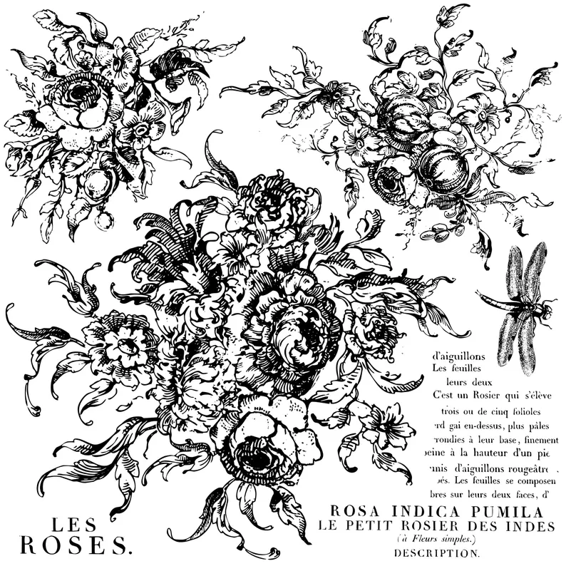 IOD stampila decorativa rose toile, modele florale dantelate