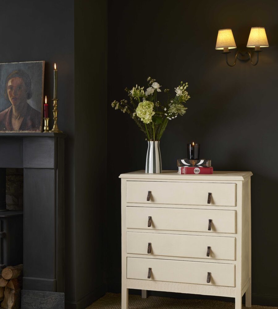 Annie Sloan chalk paint canvas vopsea mobila