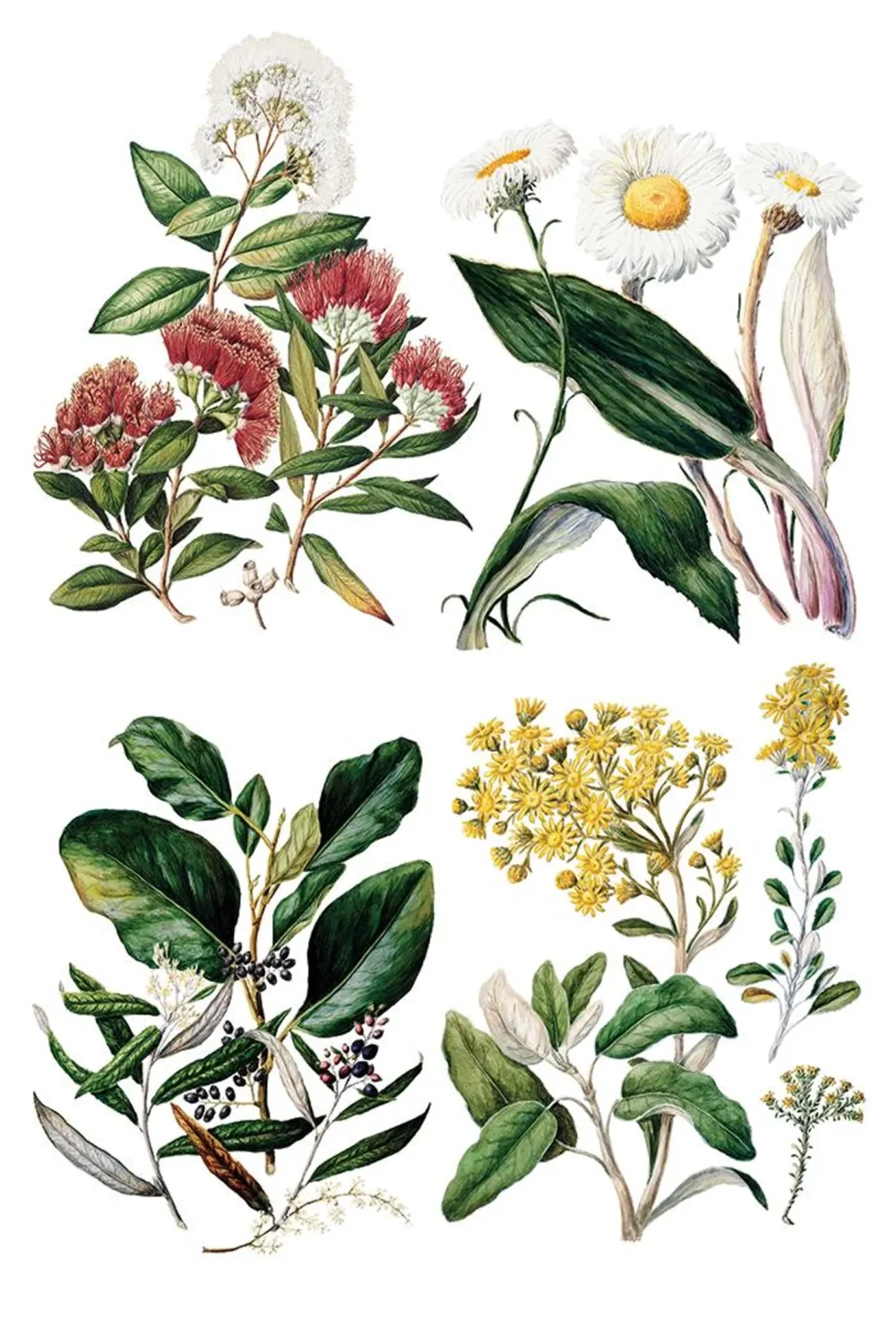 Sarah Featon’s Botanicals transfer decorativ IOD