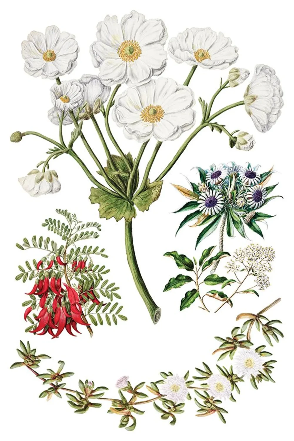 Sarah Featon’s Botanicals transfer decorativ IOD