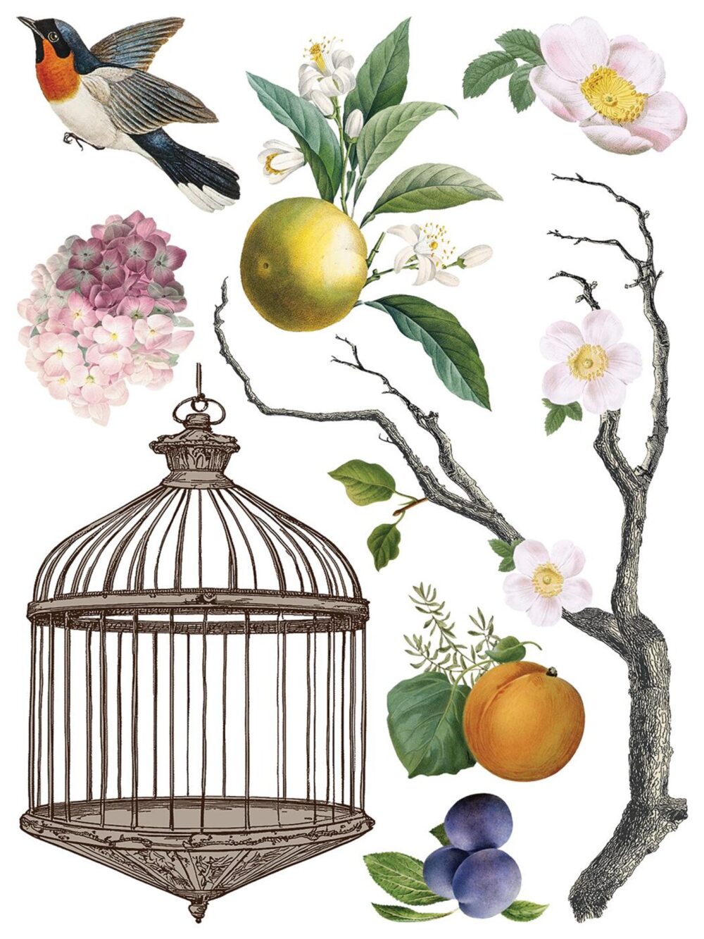 MENAGERIE IOD TRANSFER decorativ motive florale