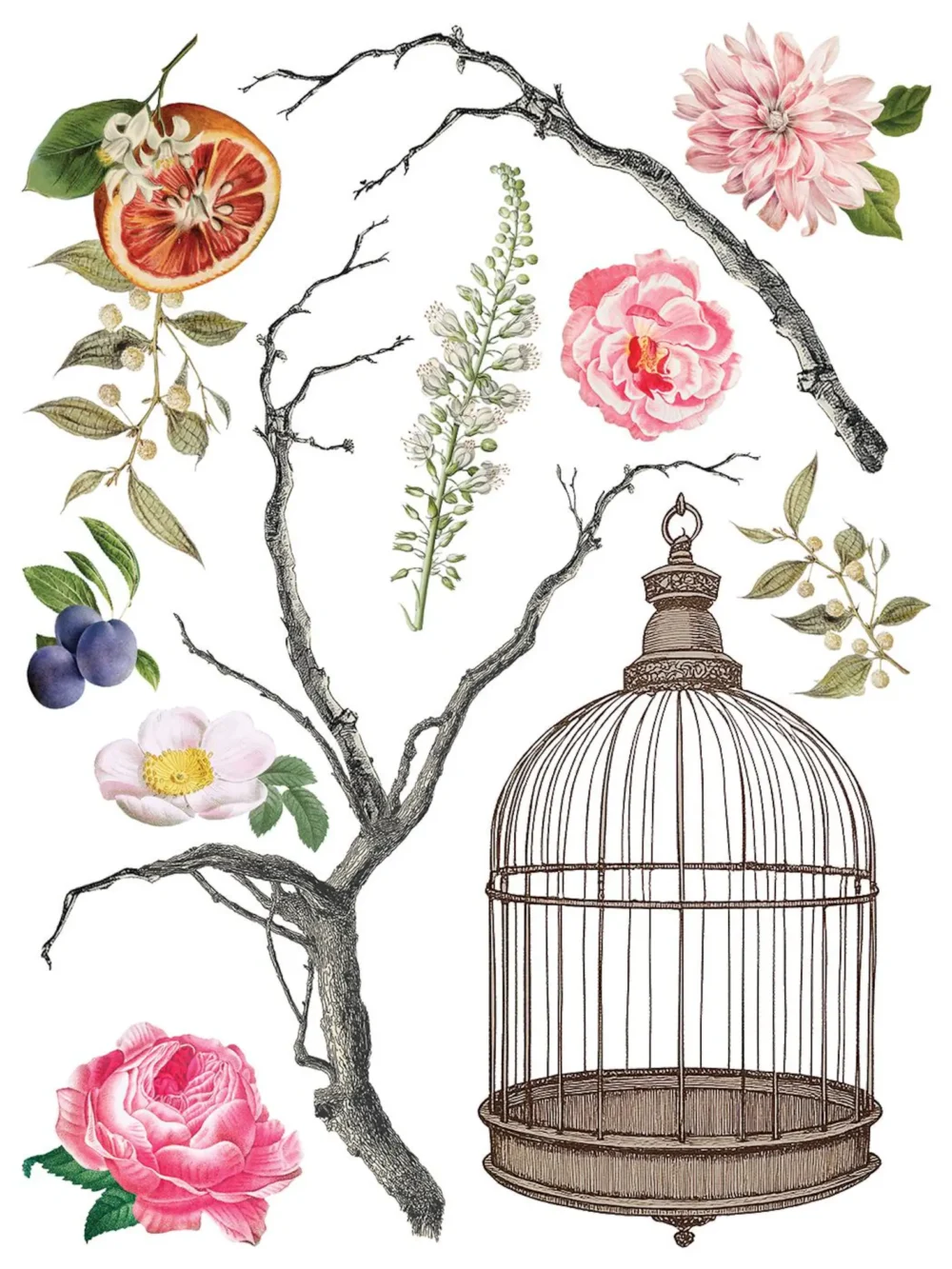 MENAGERIE IOD TRANSFER decorativ motive florale