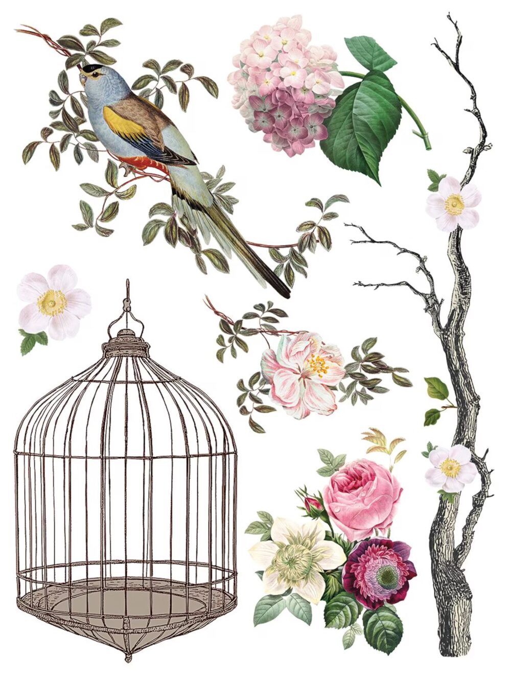 MENAGERIE IOD TRANSFER decorativ motive florale