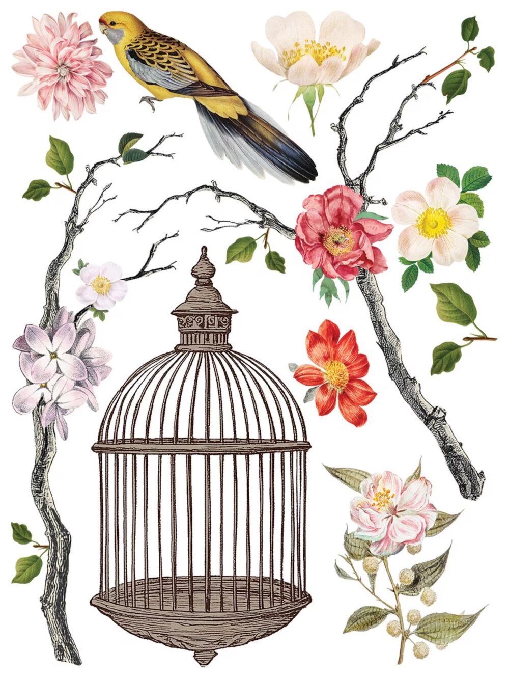 MENAGERIE IOD TRANSFER decorativ motive florale