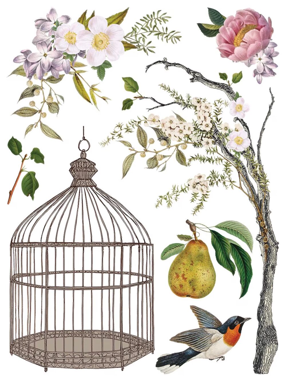MENAGERIE IOD TRANSFER decorativ motive florale