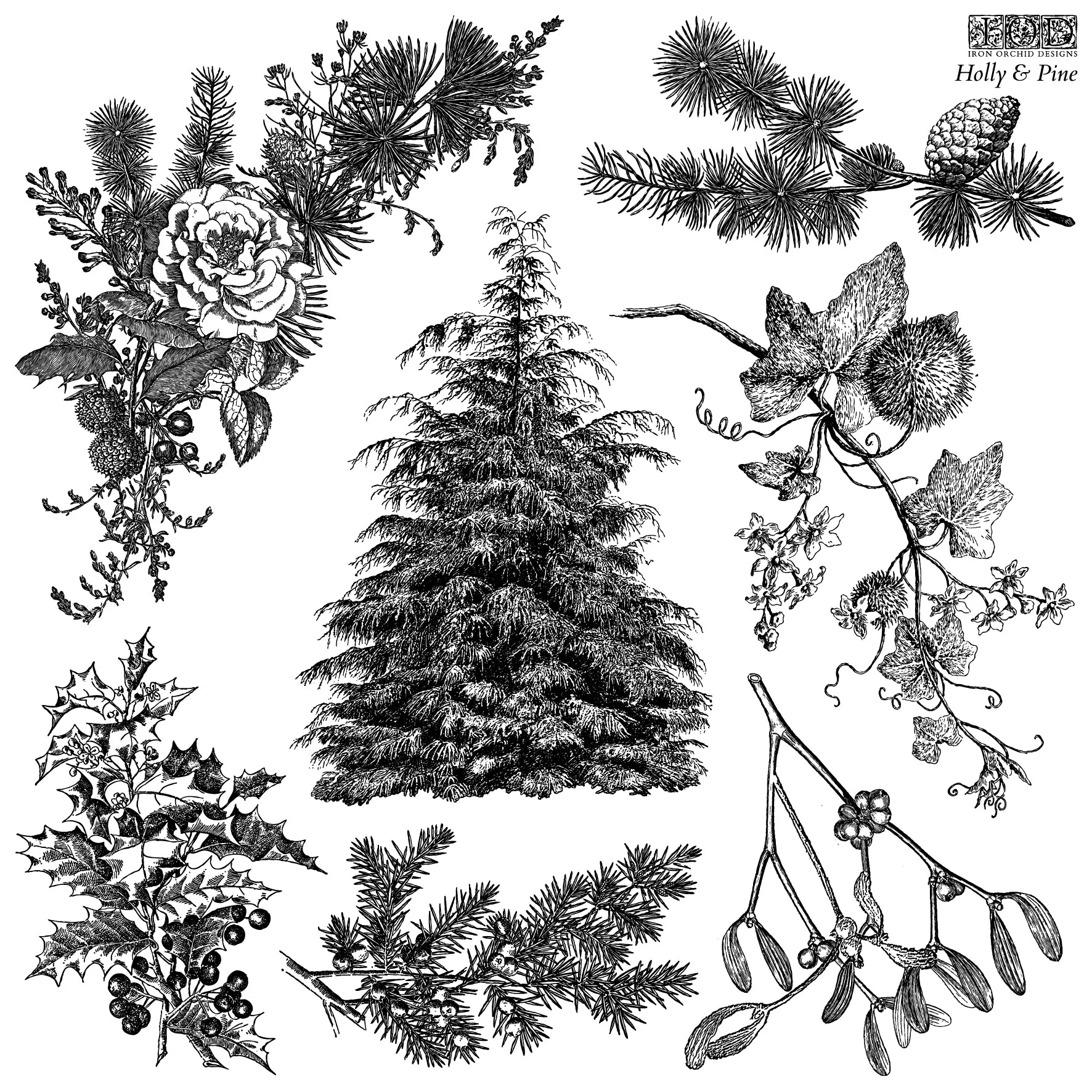 2025 - Stampila decorativa IOD - Holly & Pine