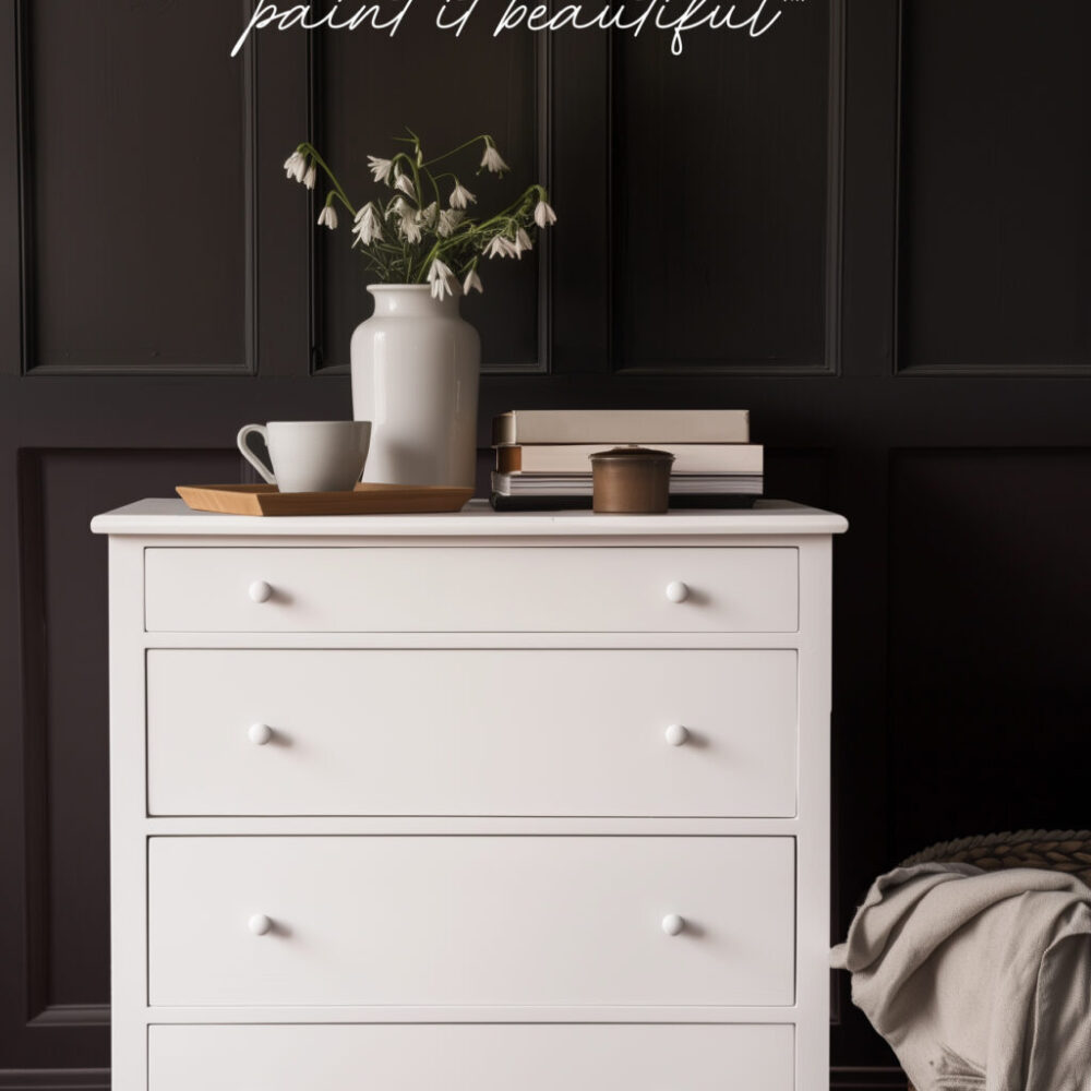 vopsea fusion mineral paint alb curat snowdrop