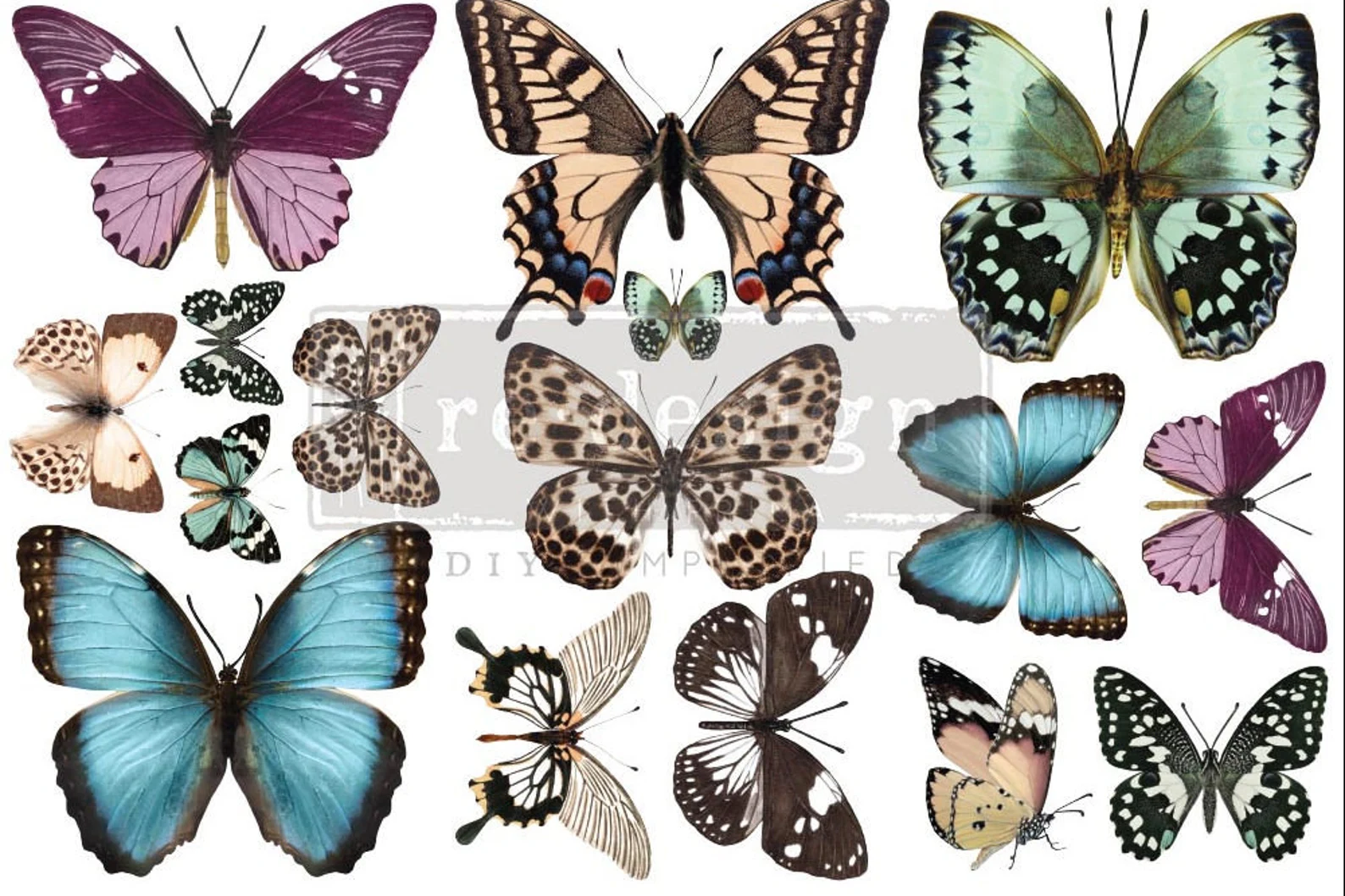 transfer decorativ redesign butterfly